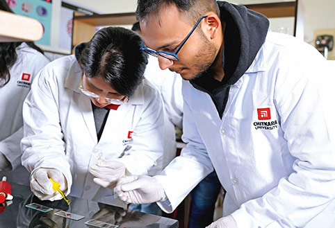 4-Year B. Pharm practical training - Chitkara University Himachal